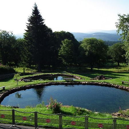 Hotel Alpska Vyhlidka 克维尔达 外观 照片