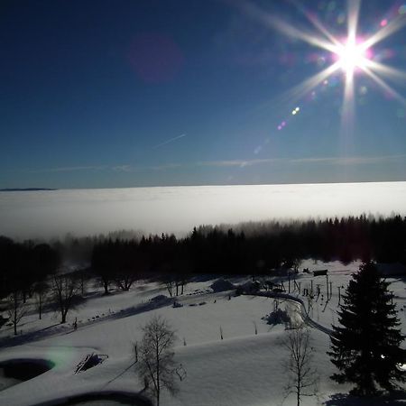 Hotel Alpska Vyhlidka 克维尔达 外观 照片