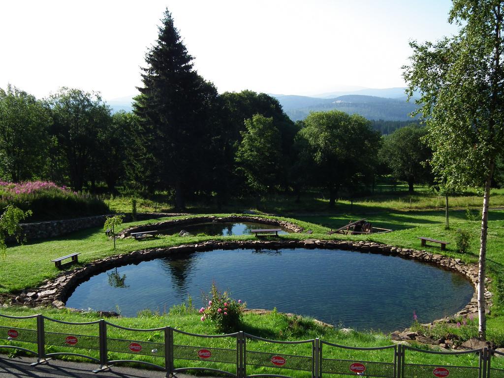 Hotel Alpska Vyhlidka 克维尔达 外观 照片