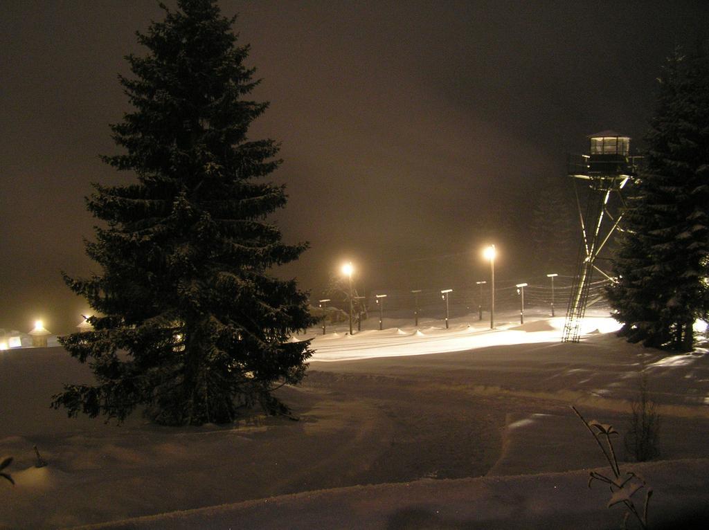 Hotel Alpska Vyhlidka 克维尔达 外观 照片