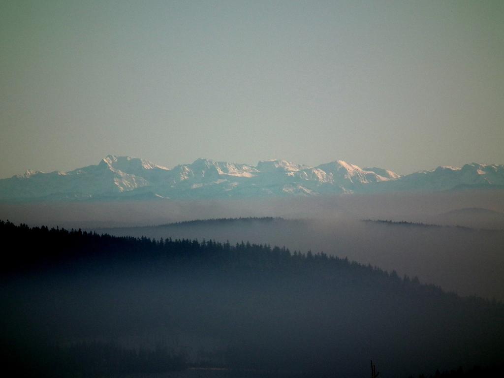 Hotel Alpska Vyhlidka 克维尔达 外观 照片